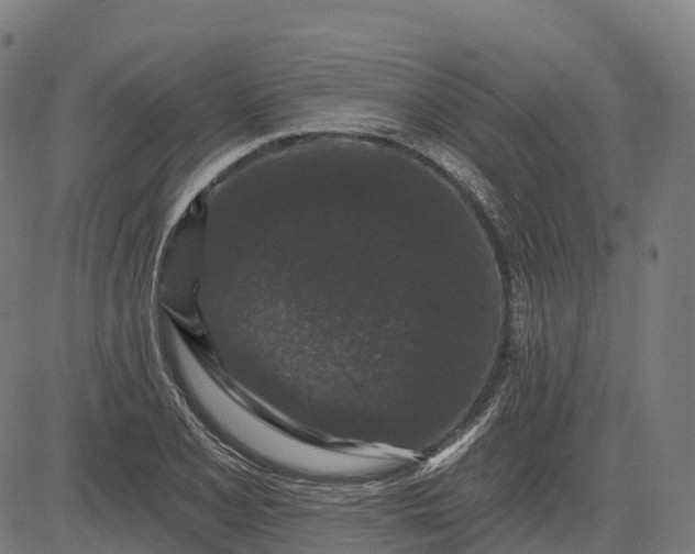 X0000082681077200702091626