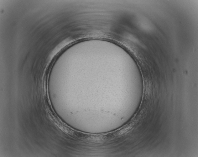 X0000082681078200702091626