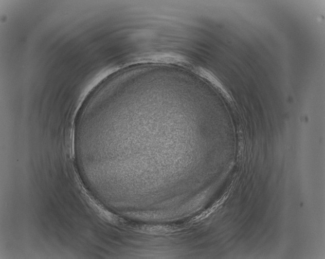 X0000082681079200702091626