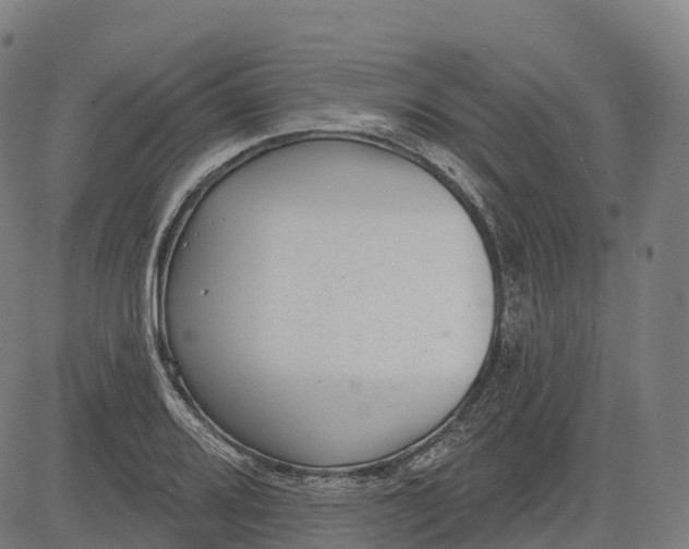 X0000082681080200702091626