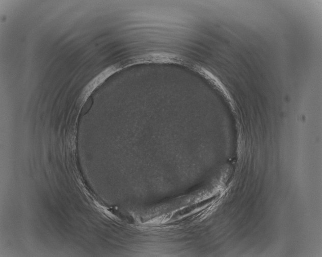 X0000082681081200702091626