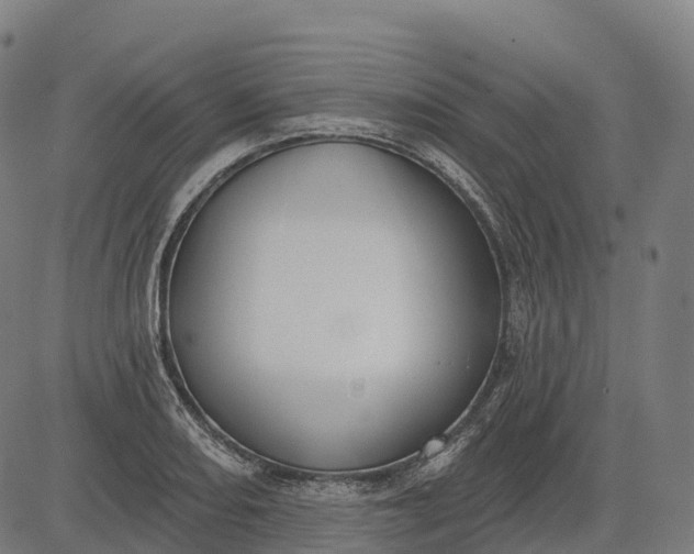 X0000082681082200702091626