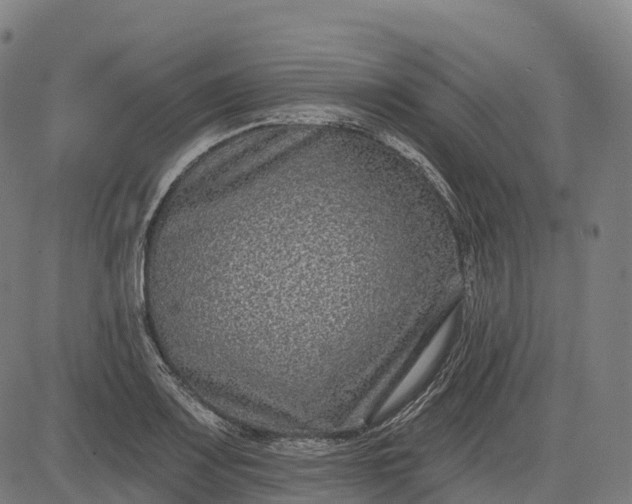 X0000082681083200702091626