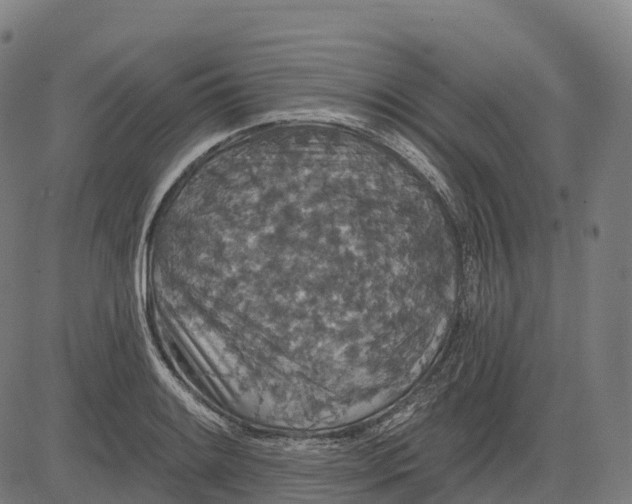 X0000082681084200702091626