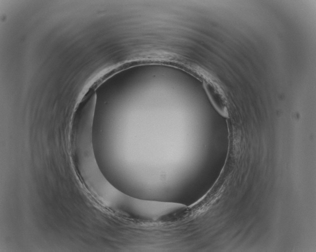 X0000082681085200702091626