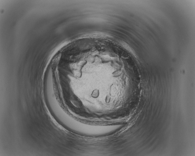 X0000082681087200702091626