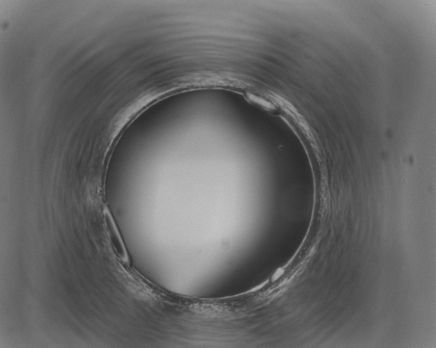 X0000082681089200702091626