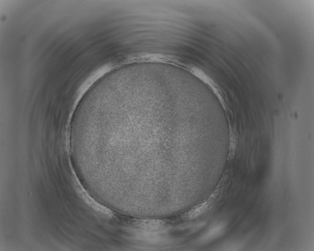 X0000082681090200702091626