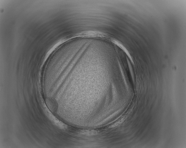 X0000082681091200702091626