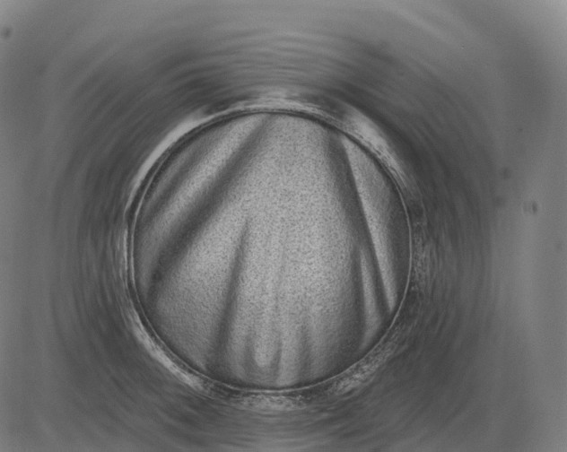 X0000082681092200702091626