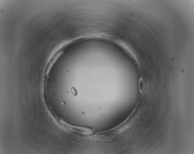 X0000082681093200702091626