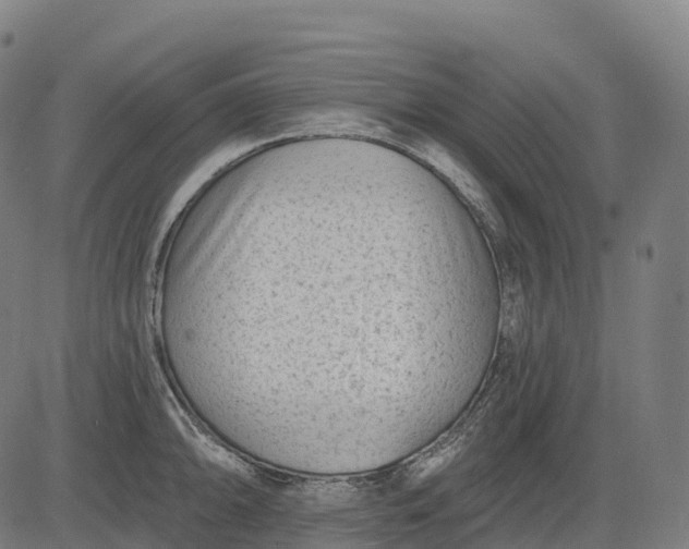 X0000082681094200702091626