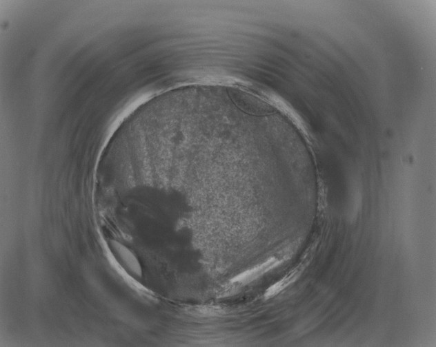 X0000082681095200702091626