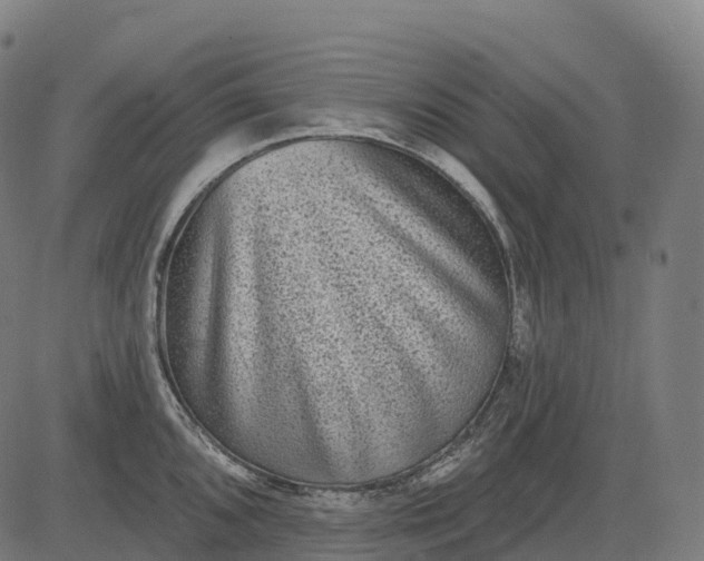 X0000082681096200702091626