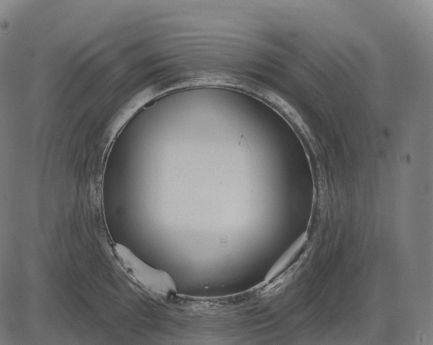 X0000082681097200702091626