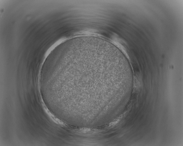 X0000082681098200702091626