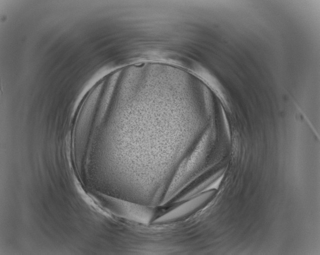 X0000082681100200702091626