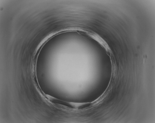 X0000082681101200702091626