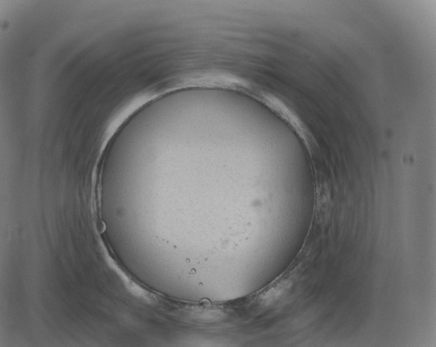 X0000082681103200702091626