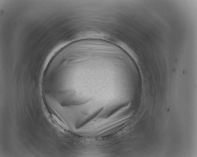 X0000082681104200702091626