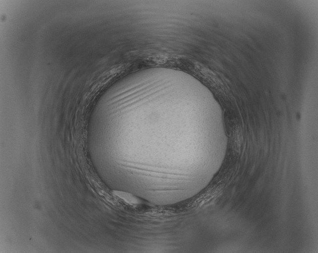 X0000082681105200702091625