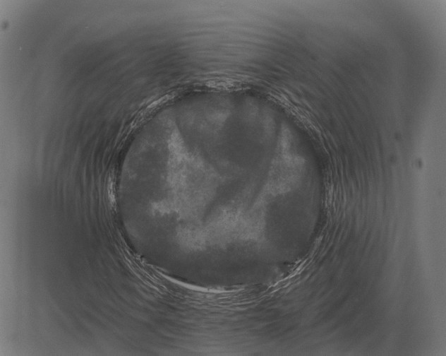 X0000082681106200702091625