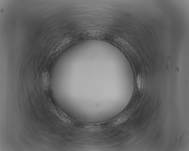 X0000082681107200702091625