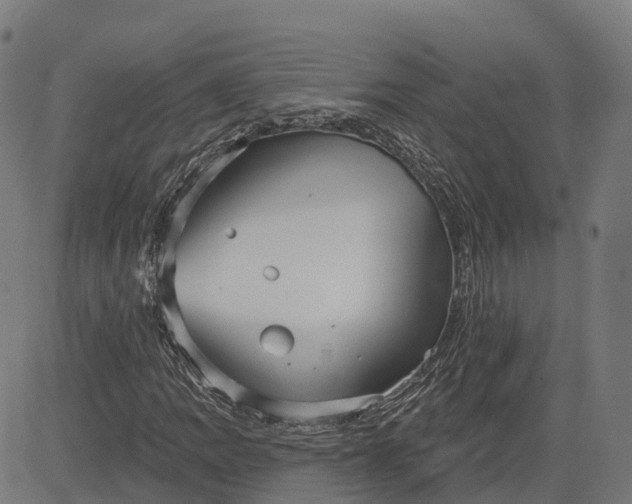 X0000082681109200702091625