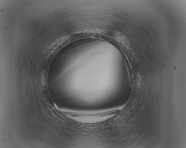 X0000082681110200702091625