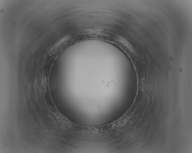 X0000082681111200702091625