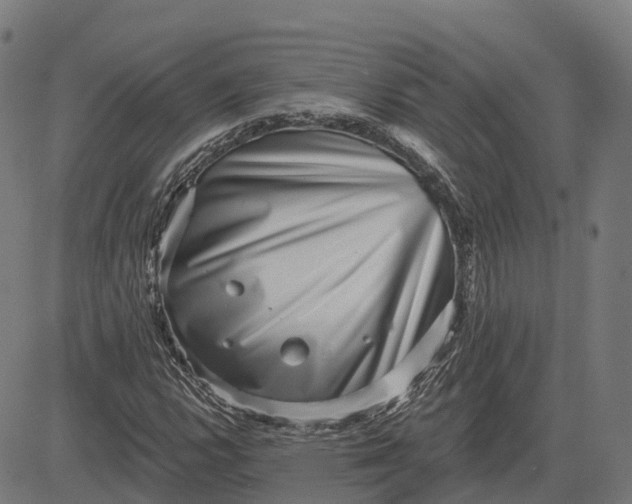 X0000082681112200702091625