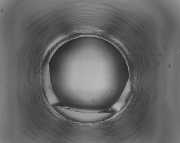 X0000082681114200702091625