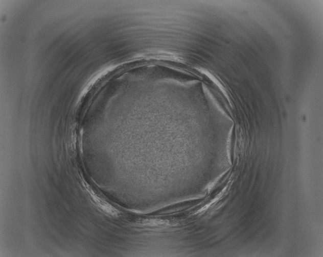 X0000082681115200702091625