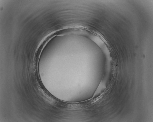 X0000082681116200702091625