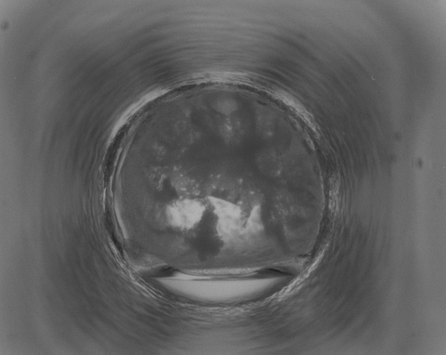 X0000082681117200702091625