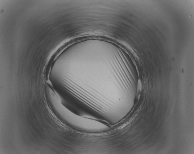 X0000082681118200702091625