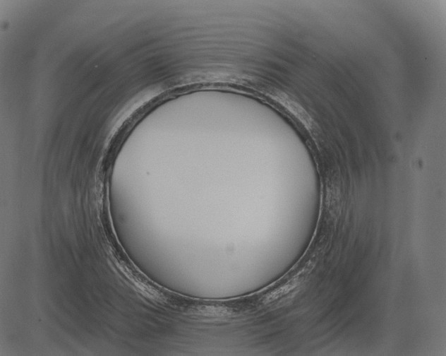 X0000082681119200702091625