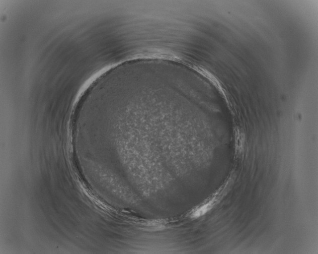 X0000082681120200702091625