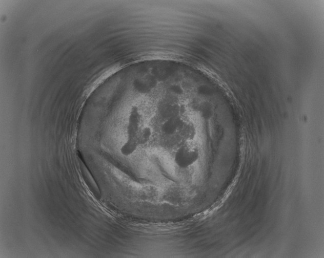 X0000082681121200702091625