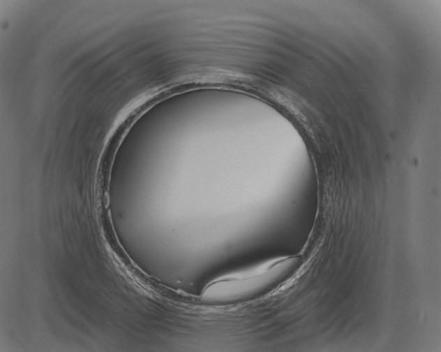 X0000082681122200702091625