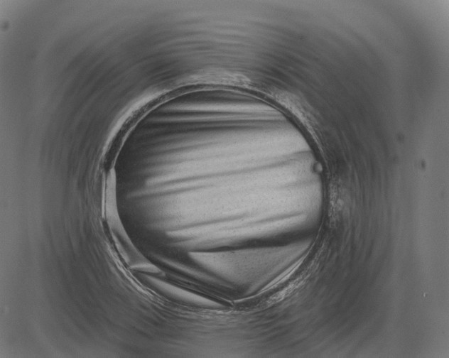 X0000082681123200702091625