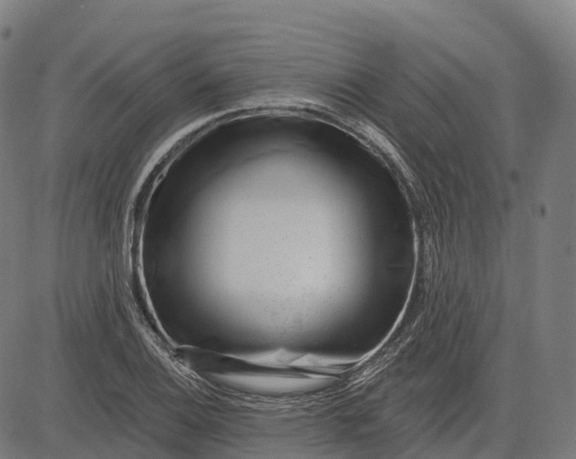 X0000082681124200702091625