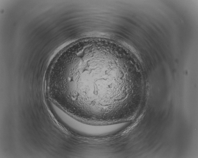 X0000082681125200702091625