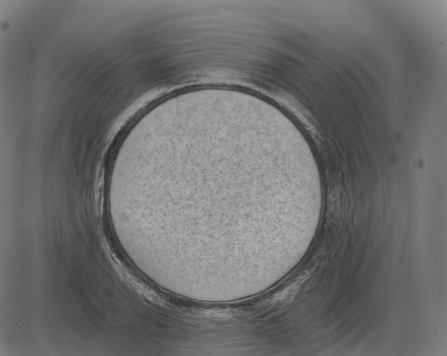 X0000082681126200702091625