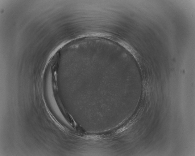 X0000082681127200702091625