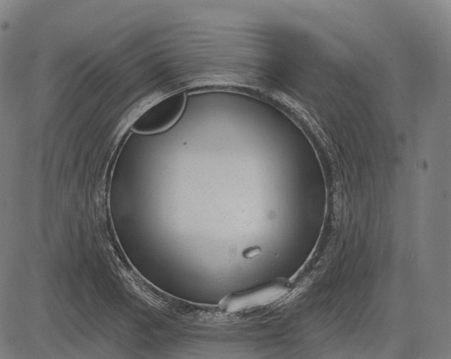 X0000082681129200702091625