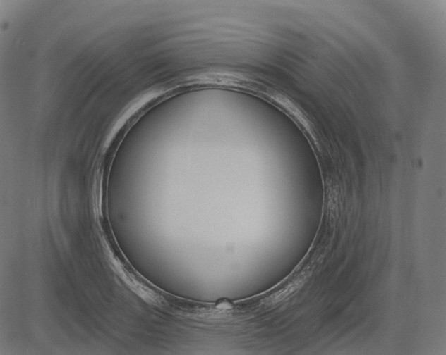 X0000082681131200702091625