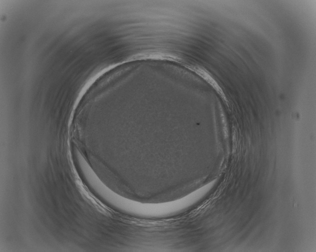 X0000082681132200702091625