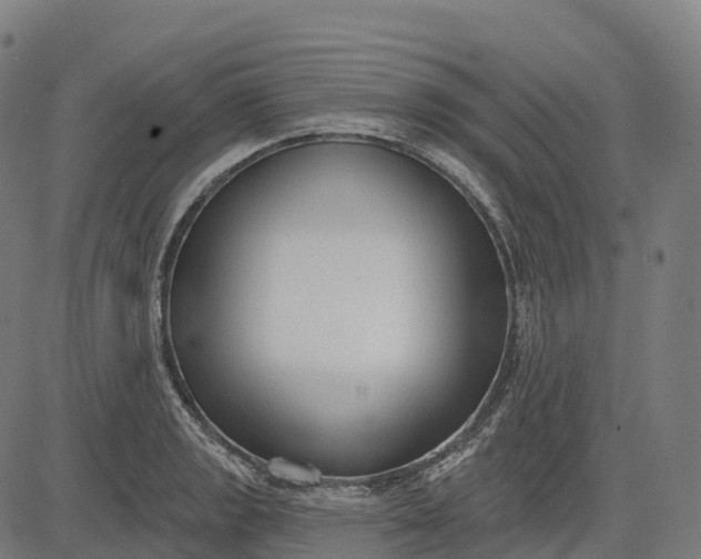 X0000082681133200702091625