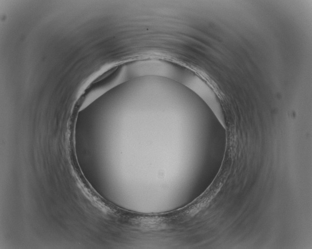 X0000082681134200702091626